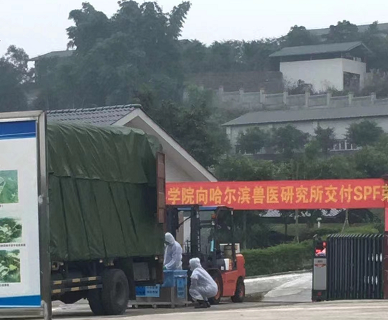 航镖货运